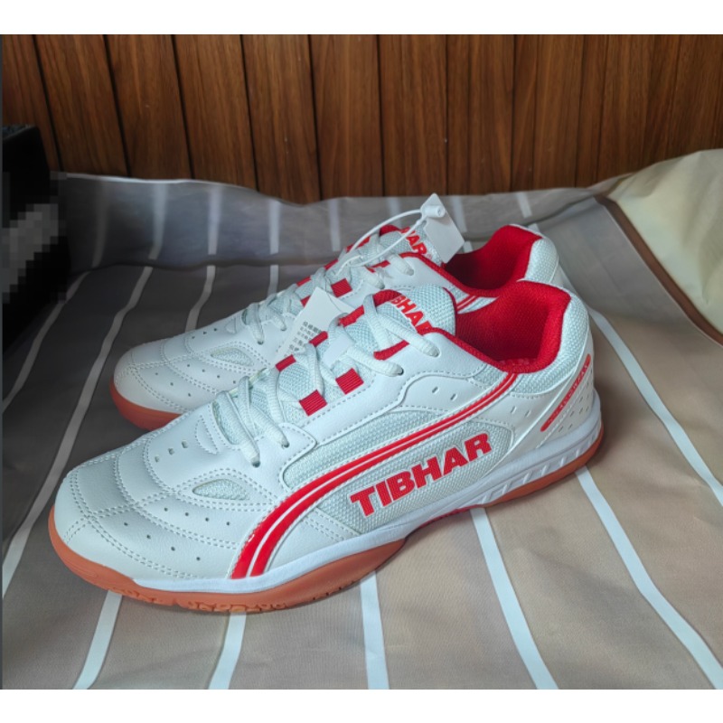 2026 Professional Table Tennis - Table Tennis Court recension och pris