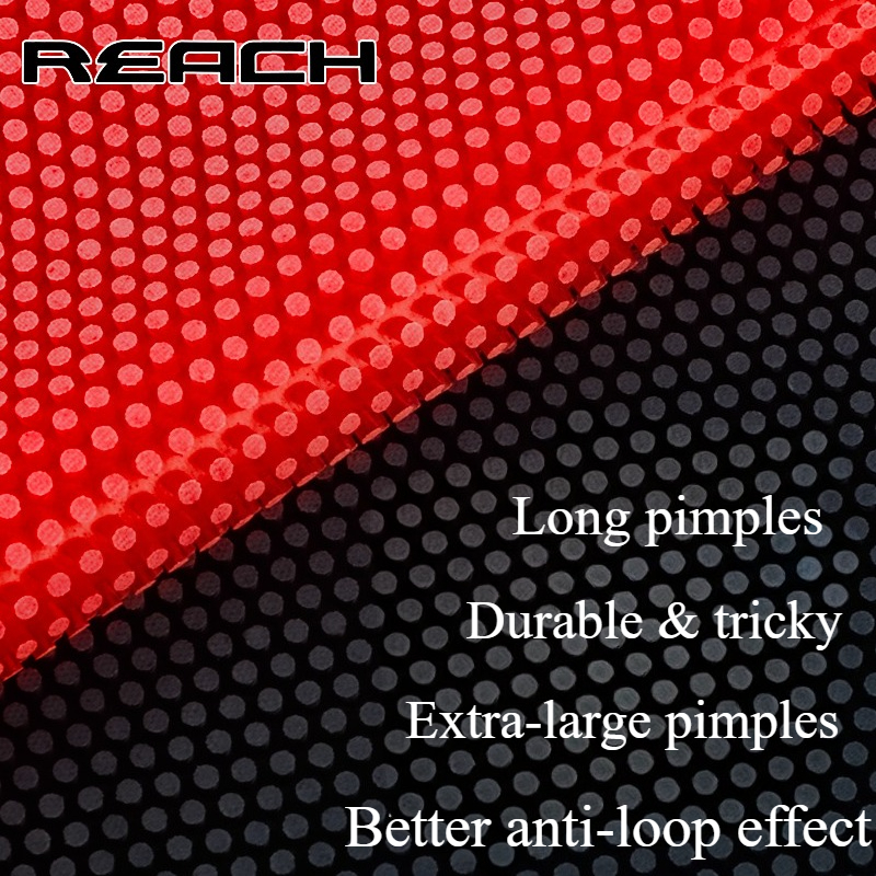 Reach C-8 C-801 Table-tennis R - Table Tennis Shop recension och pris