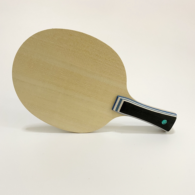 Lemuria VIS Carbon Fiber Table - Table Tennis Yasaka recension och pris