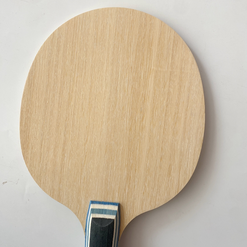 Lemuria VIS Carbon Fiber Table - Table Tennis Yasaka recension och pris