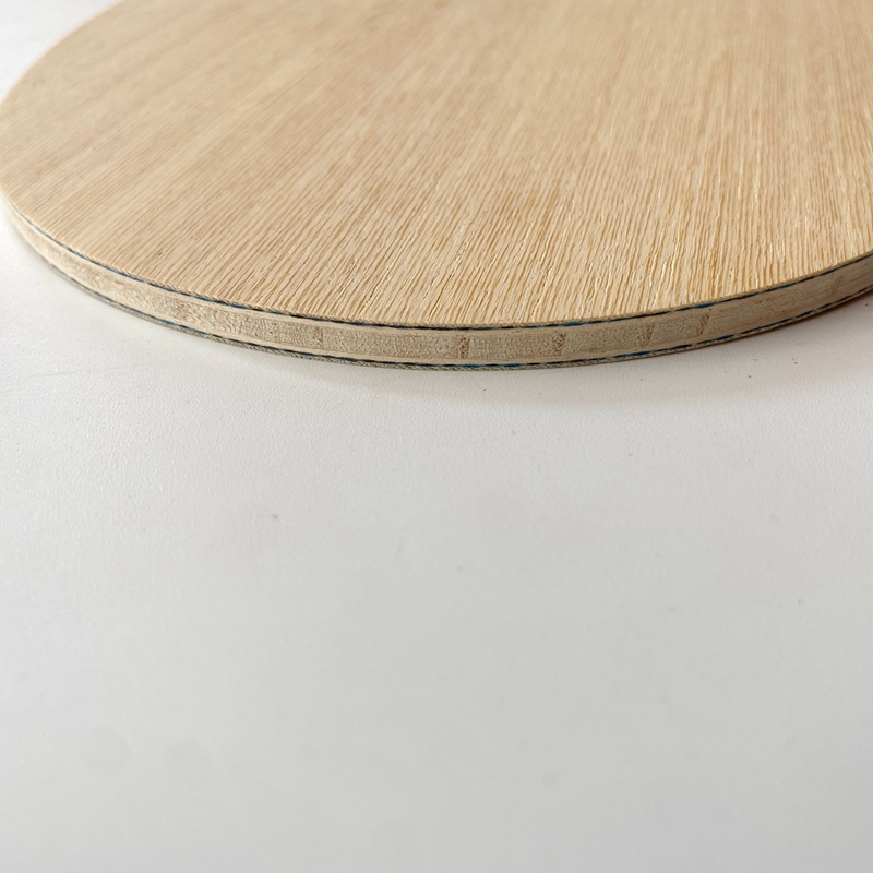 Lemuria VIS Carbon Fiber Table - Table Tennis Yasaka recension och pris
