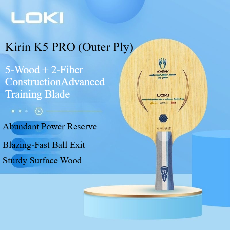 LOKI Kirin K5 PRO Table Tennis - Table Tennis Table recension och pris